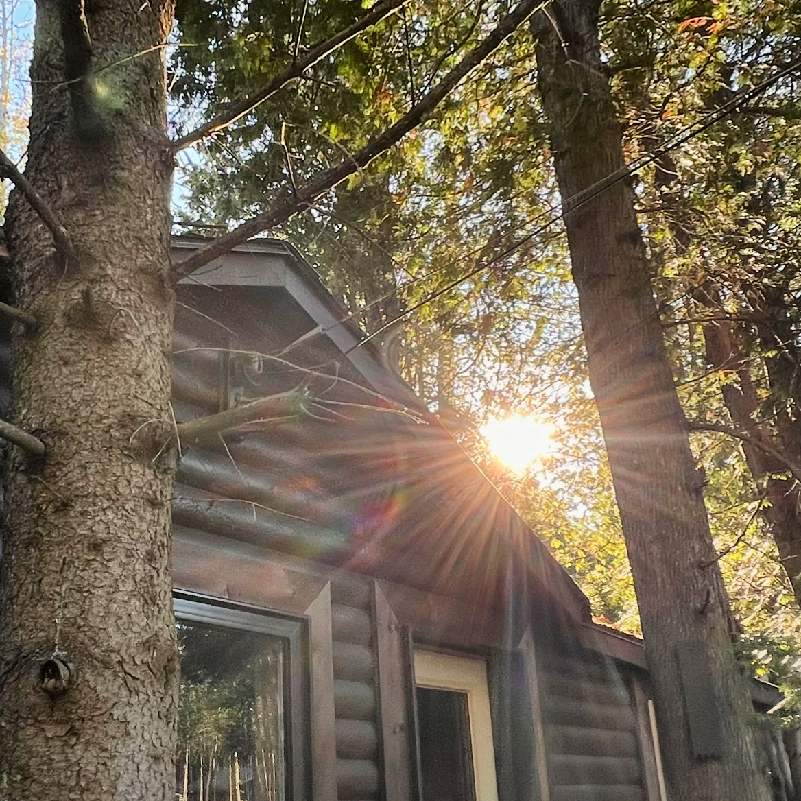 Sun shining over a brown rental cabin on the bruce peninsula at Red Bay Lodge