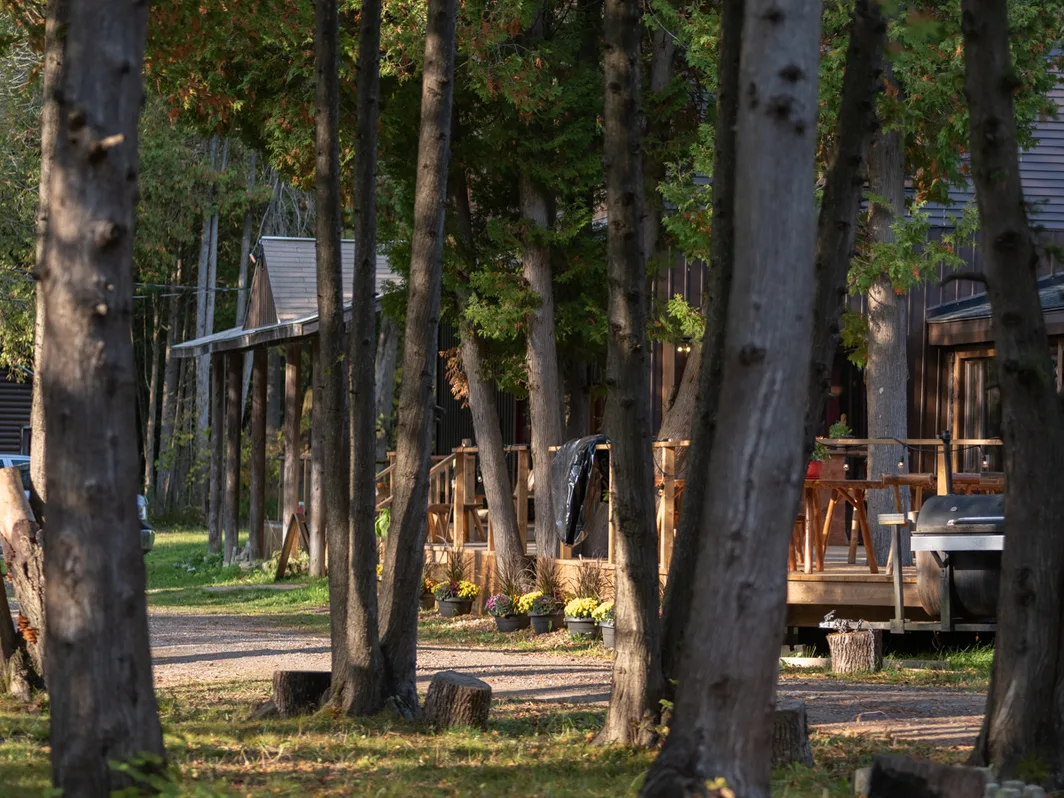 Red Bay Lodge cabins on their decks among tall trees