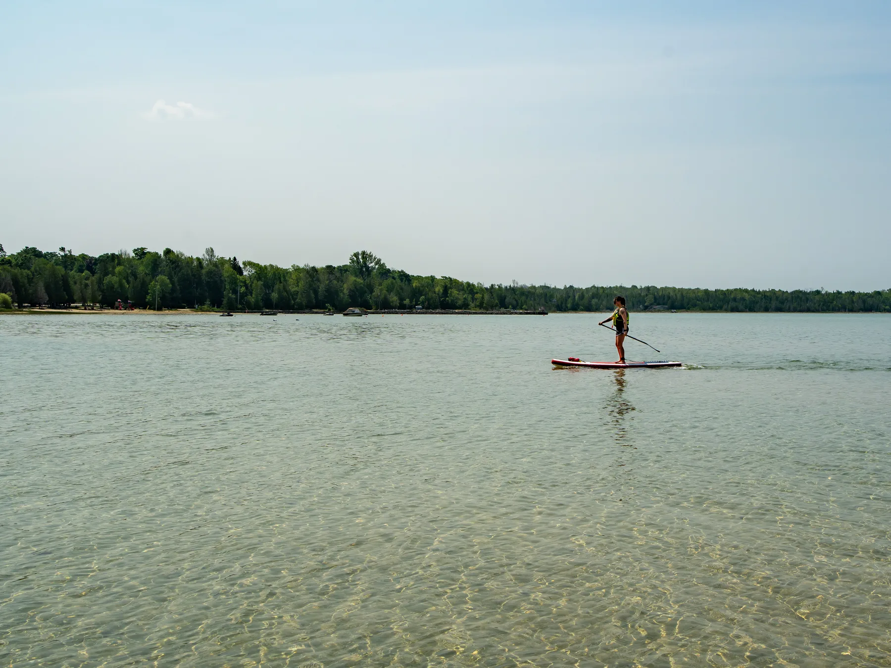 A paddleboarder on calm, shallow water with a tree-lined shore behind