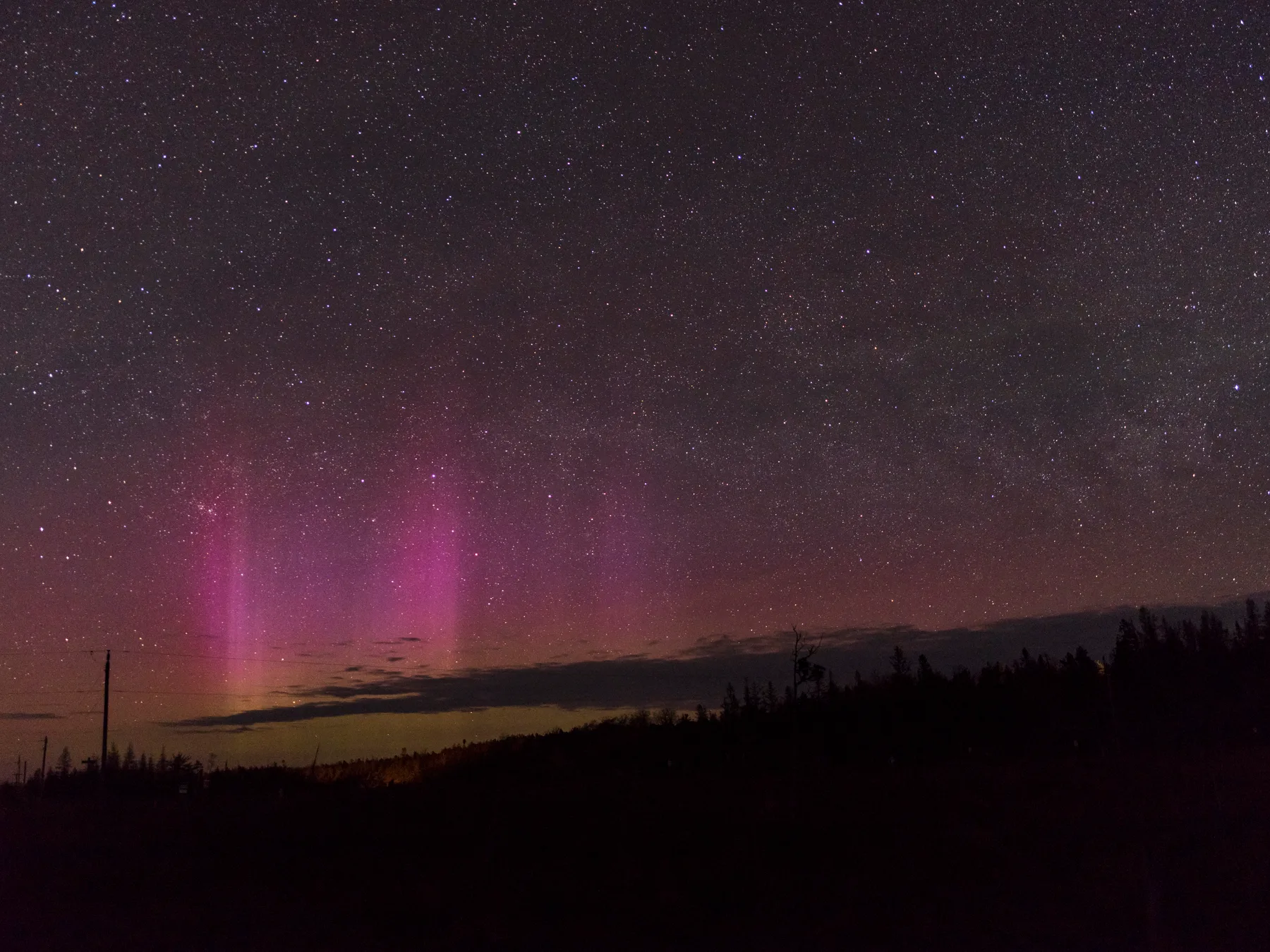 Pink and green northern lights rising behind the treeline over a dark field