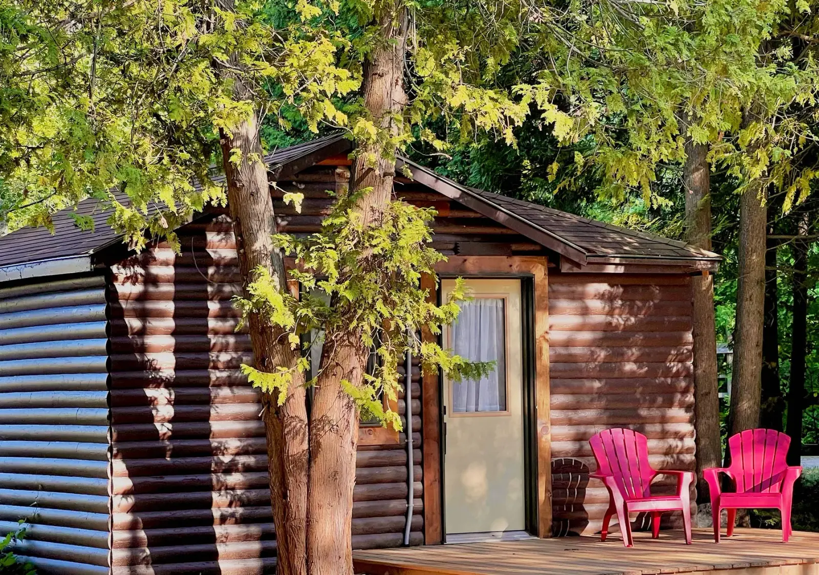 A 1+ bedroom cabin with red chairs on the deck, among the trees at Red Bay Lodge
